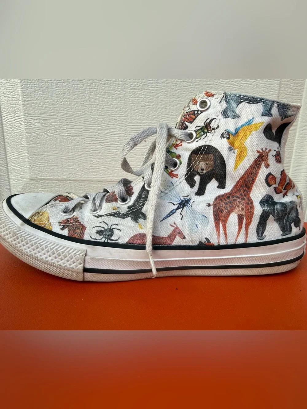 Converse Junior Chuck Taylor All Star Hi sneakers Science Class / Zoo Animals 5